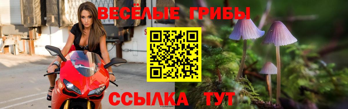наркотики  Галлюциногенные грибы Cubensis  Приморско-Ахтарск  Вход с VPN  Галлюциногенные грибы Magic Shrooms 