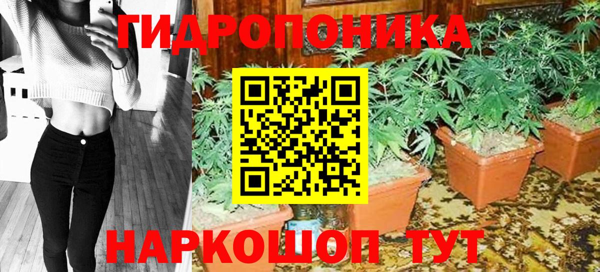 Шишки марихуана Amnesia Приморско-Ахтарск